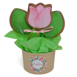 меденка лале торти чочко цветница