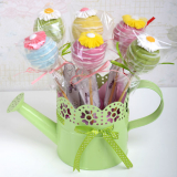 Поп кейк цвете за първа пролет от Торти Чочко е пухкаво ванилово кексче с хрупкава шоколадова обвивка с различни вкусове на ягода, зелена ябълка, банан и дъвка.